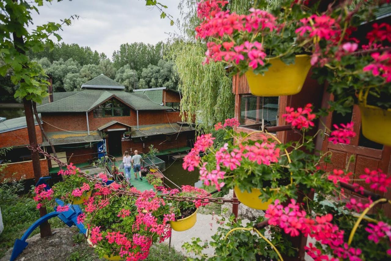 Pool And Villa Splav Dunavac Futog Eksteriør billede
